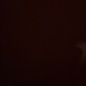 Meet your Posher, Hunter